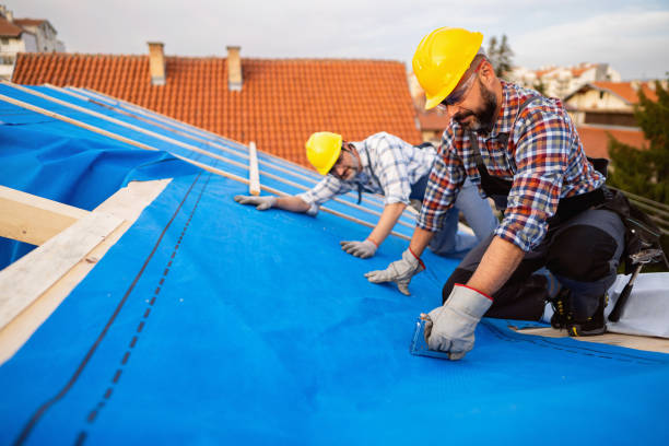 Best Sheet Metal Roofing  in Adrian, MO