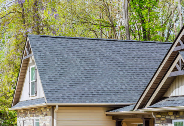 Best Roof Ventilation Installation  in Adrian, MO